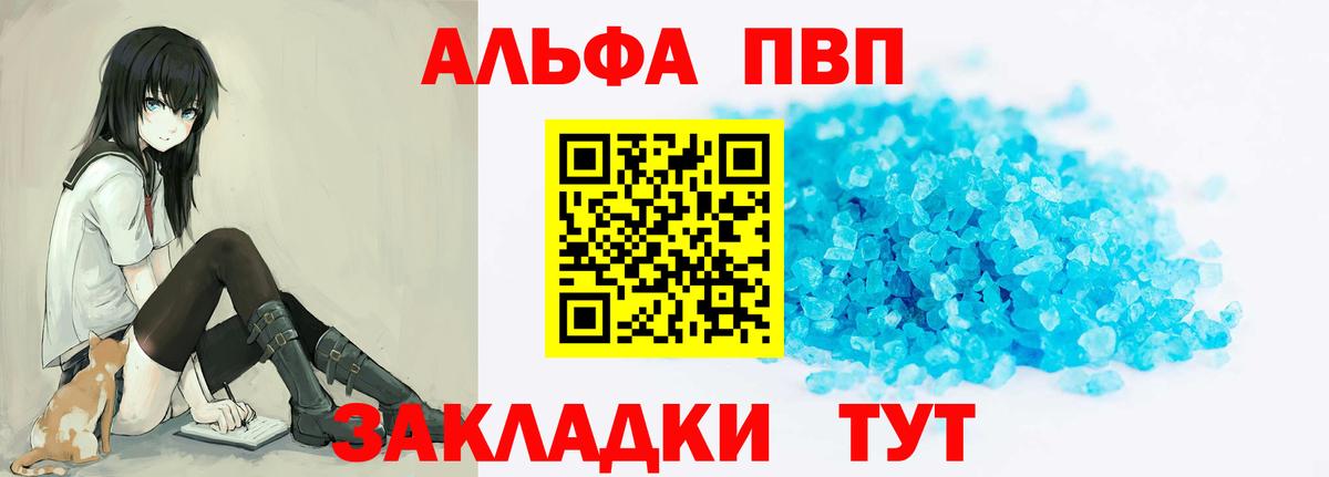 Alfa_PVP СК Краснознаменск