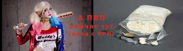 индика Беломорск
