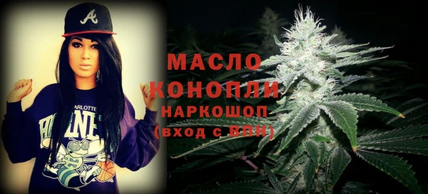 apvp Туринск