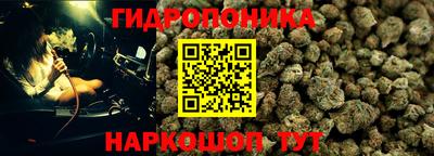 прущие крисы Ипатово