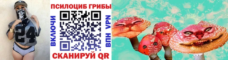 Галлюциногенные грибы Psilocybine cubensis  как найти наркотики  Краснознаменск 