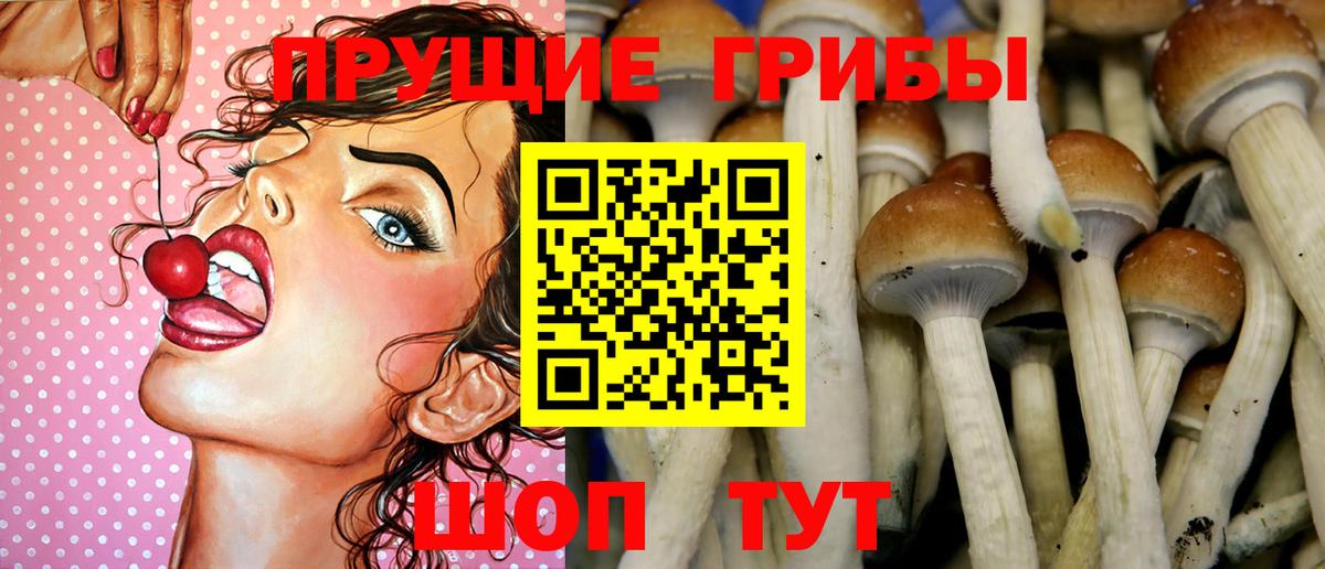 Краснознаменск  Галлюциногенные грибы GOLDEN TEACHER  Вход с VPN 