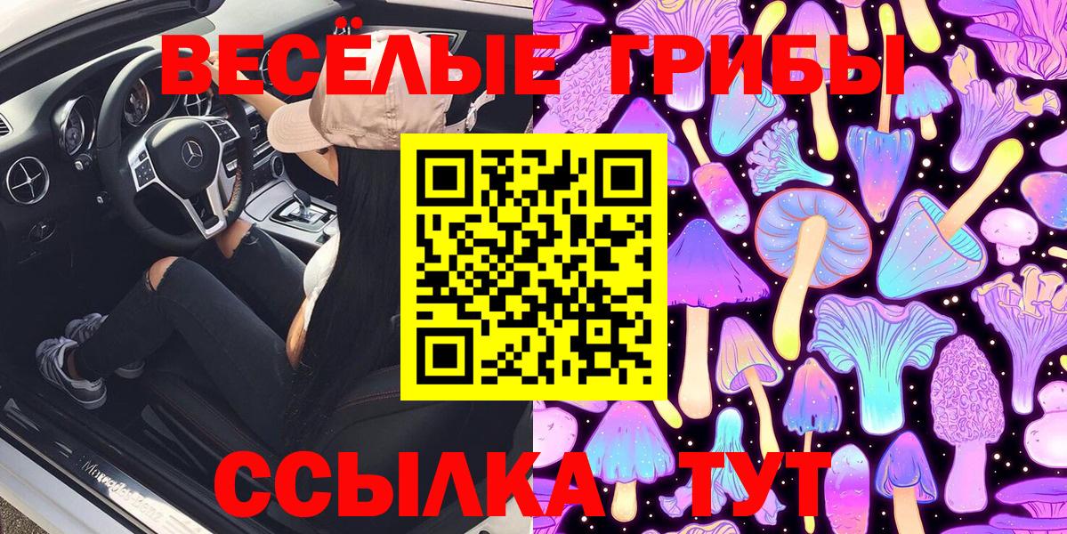 Галлюциногенные грибы ЛСД Краснознаменск